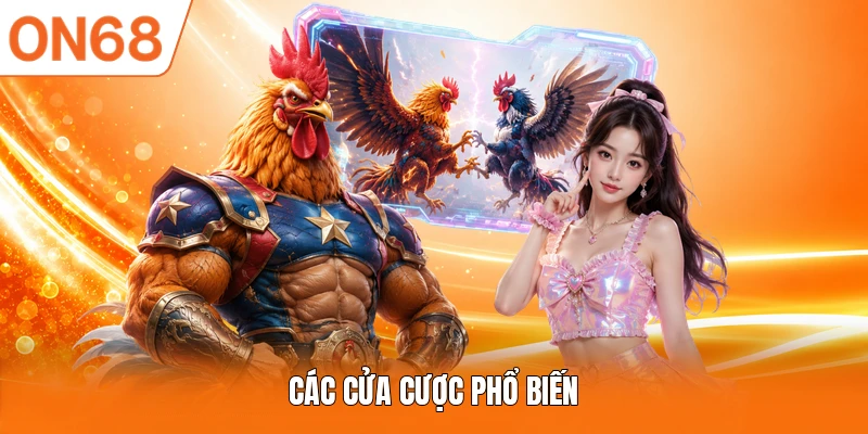 Các cửa cược phổ biến