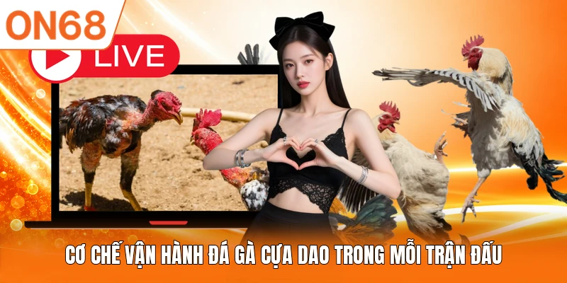 Cơ chế vận hành đá gà cựa dao trong mỗi trận đấu