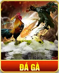 Đá Gà ON68