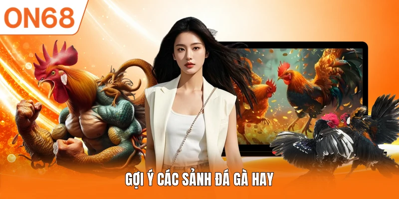 Gợi ý các sảnh đá gà hay