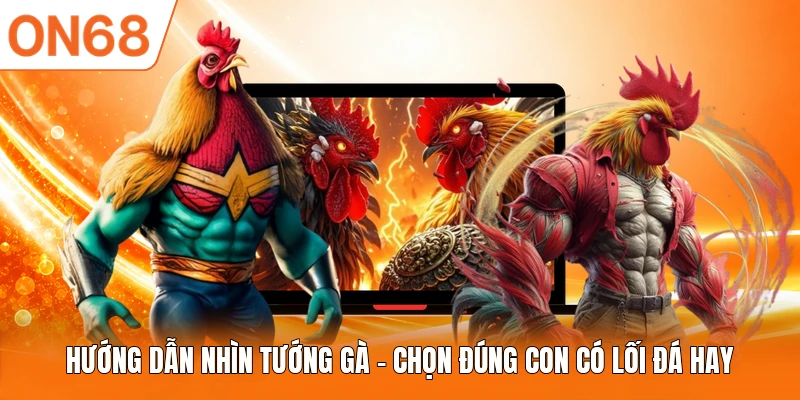 Hướng dẫn nhìn tướng gà và những điểm cần chú ý 