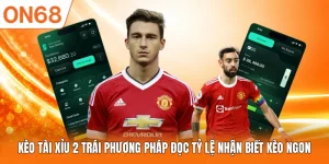 Kèo Tài Xỉu 2 Trái