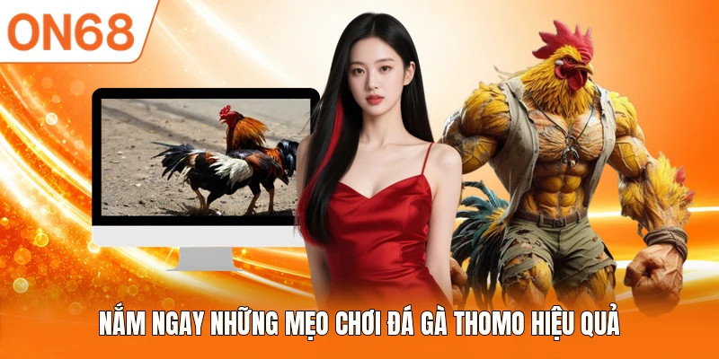 Nắm ngay những mẹo chơi đá gà Thomo hiệu quả