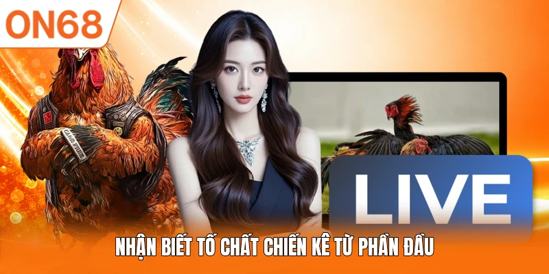 Nhận biết tố chất chiến kê từ phần đầu 
