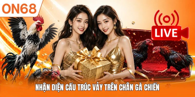 Nhận diện cấu trúc vảy trên chân gà chiến 