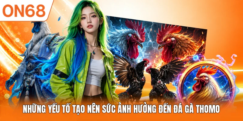 Những yếu tố tạo nên sức ảnh hưởng đến đá gà Thomo