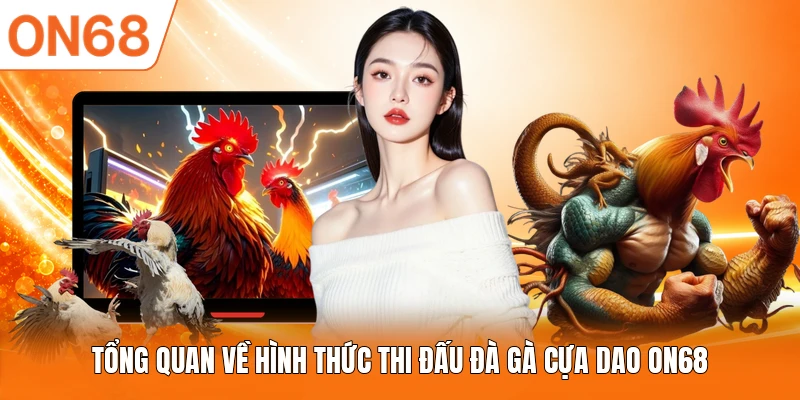 Tổng quan về hình thức thi đấu đà gà cựa dao ON68